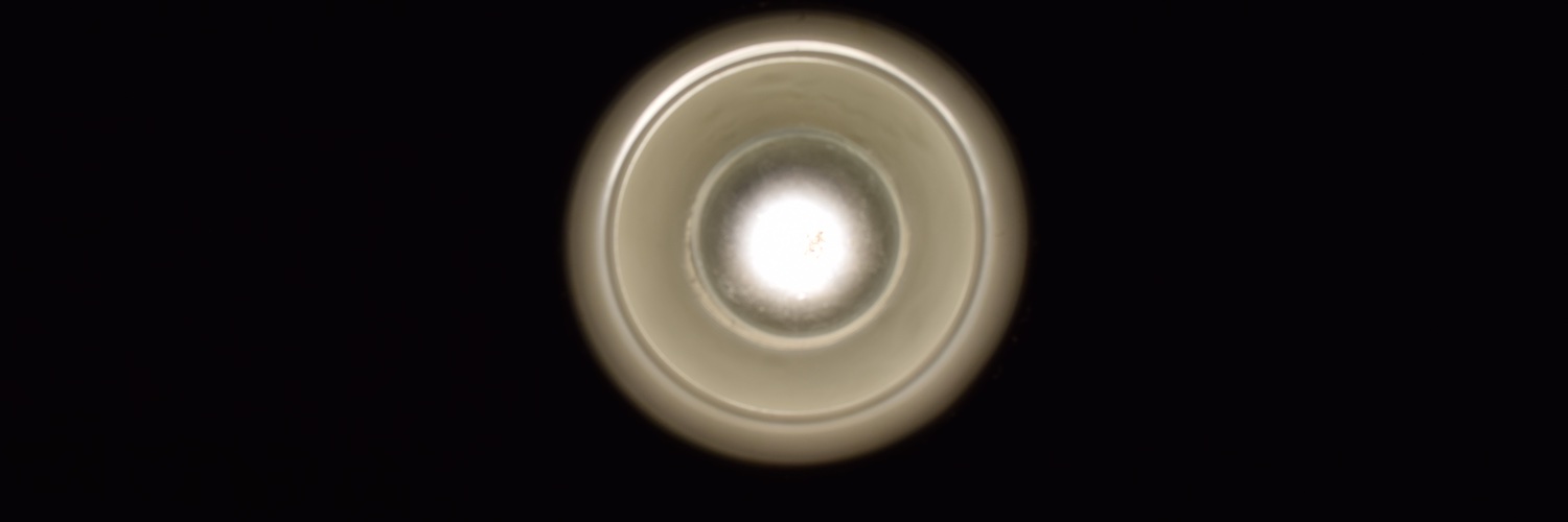 celymce's profile banner image