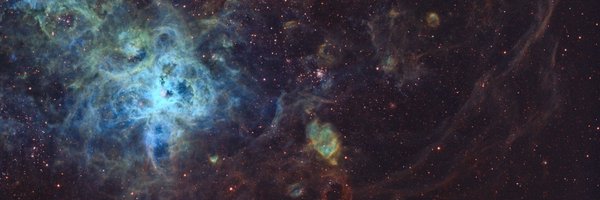 ownyourserp Profile Banner