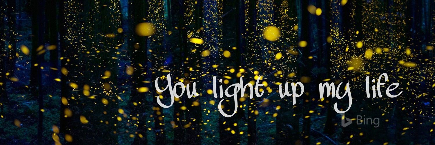 Libélula azul 🇮🇨 banner