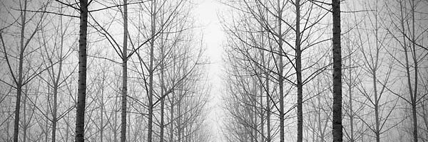 TeruelScapes's profile banner image
