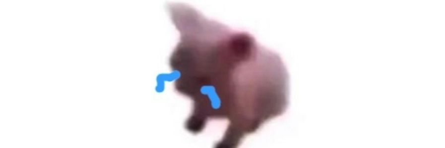 Jorgezzzx's profile banner image