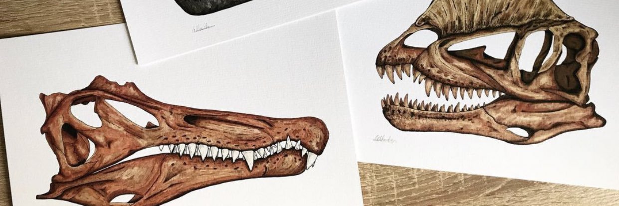 Grace Varnham banner