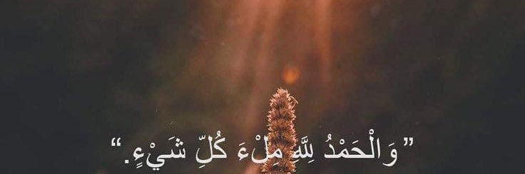 HA🐞 banner