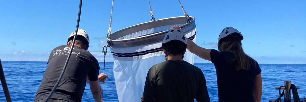 Robin van Dijk banner