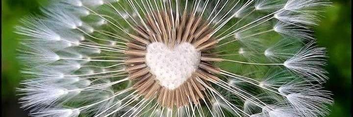 April_Johnson banner