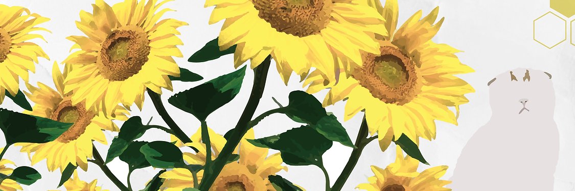 SAKAME33's profile banner image