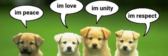 tapiokae ; ON🦋 banner