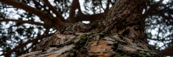 _koldan1 Profile Banner