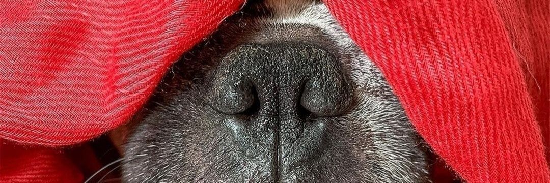 DenoLnr's profile banner image