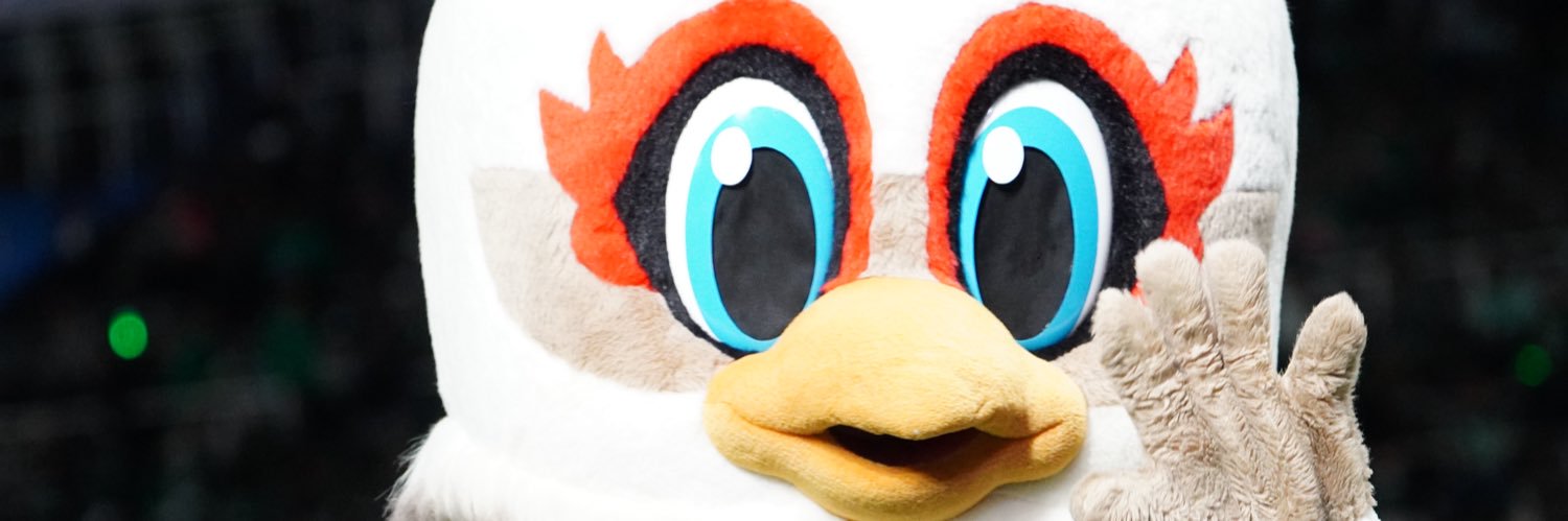 chaki109's profile banner image