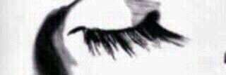 nora8157's profile banner image