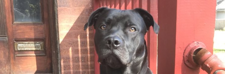 Hooney23's profile banner image