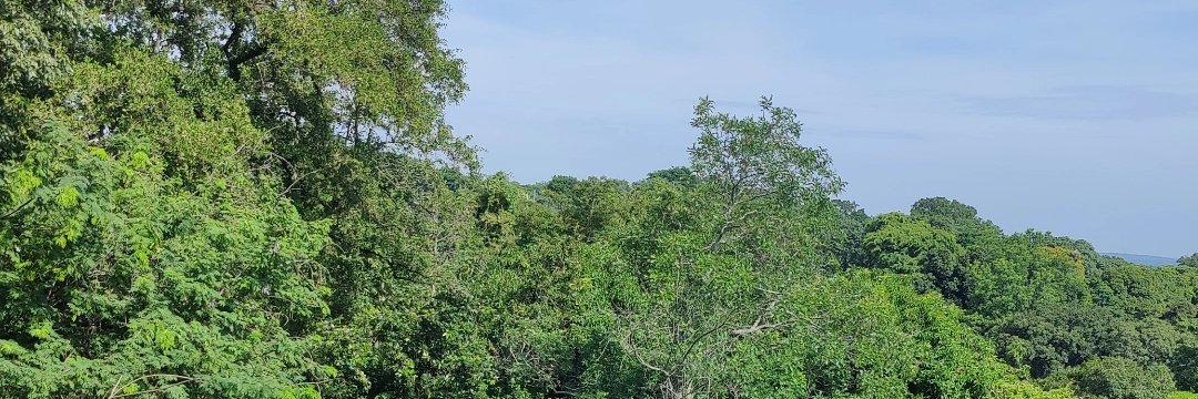 Maricarmen Sequera banner