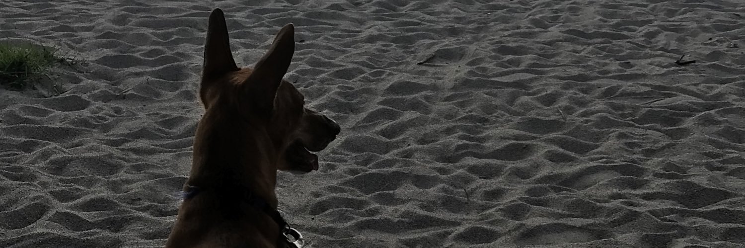 margauksss's profile banner image