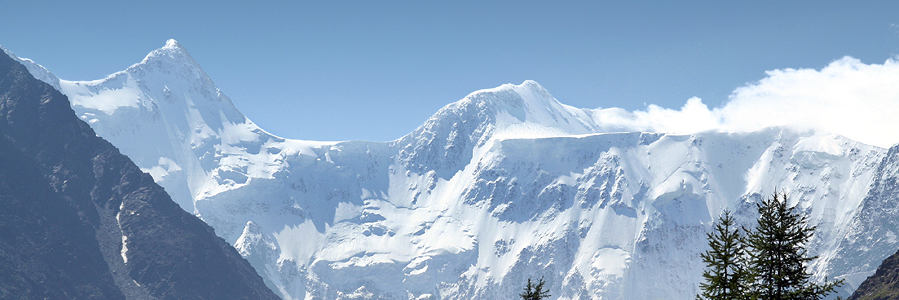 Thomas Heyne 🇩🇪 🇪🇺 banner