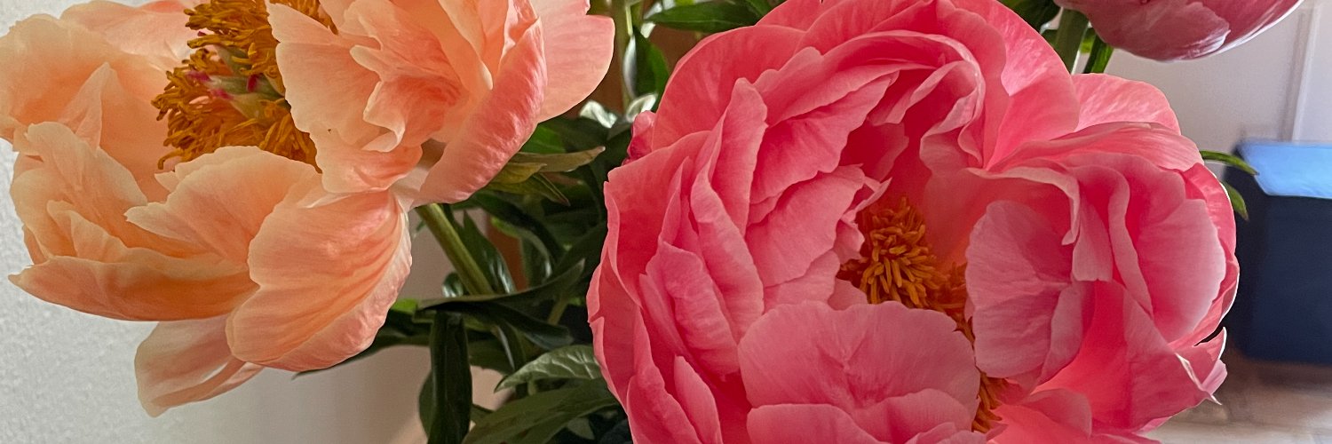 Micaela Rodgers; M.Phil, M.L.I.S. banner