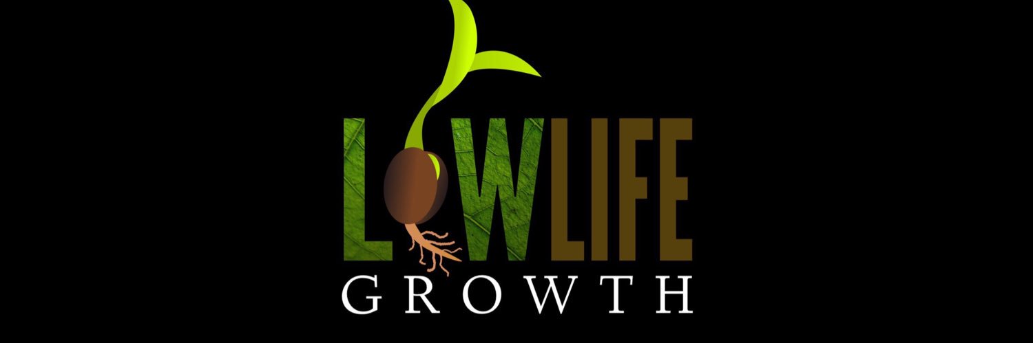 Chances Make Champions 🥇 banner