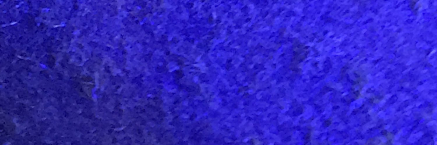 Maria F banner