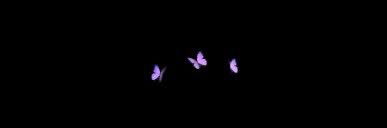ayally_5's profile banner image