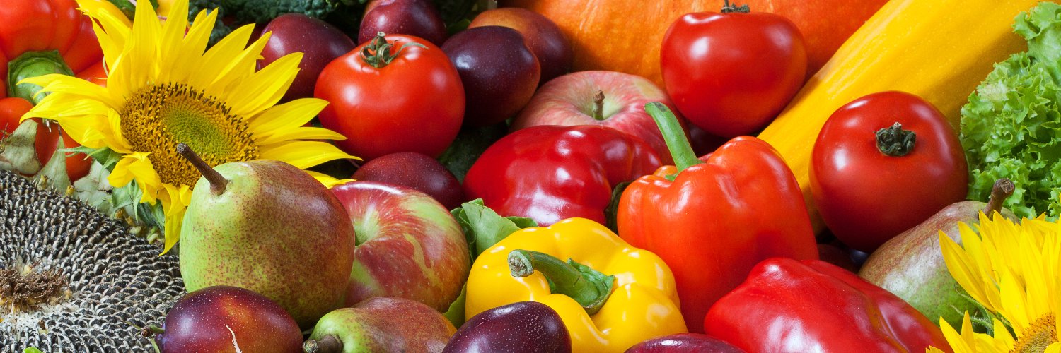 The IR-4 Project banner