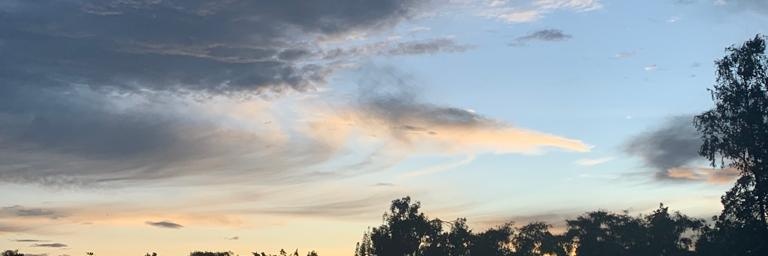 ana_sofiar1's profile banner image