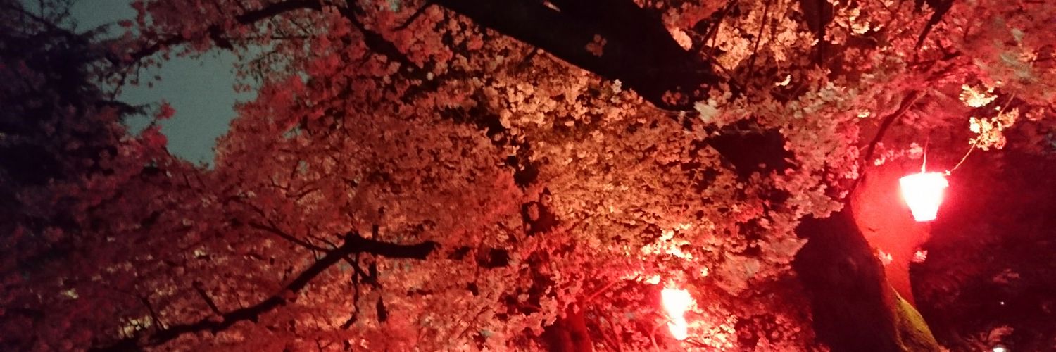 bonnberyey's profile banner image