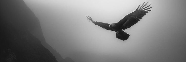 ابو فهد banner