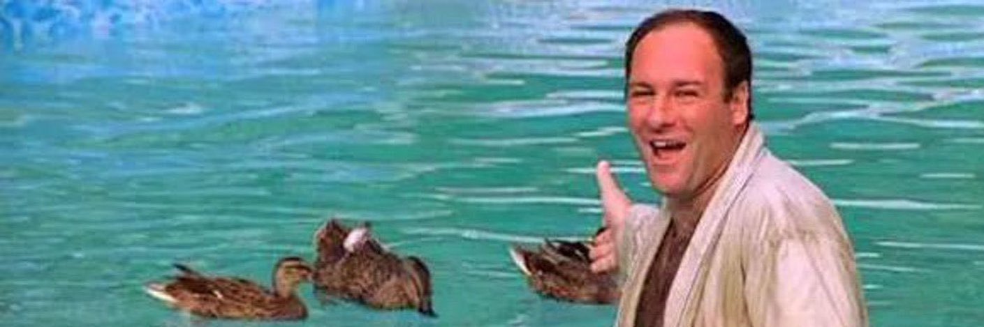 casey peanuts banner