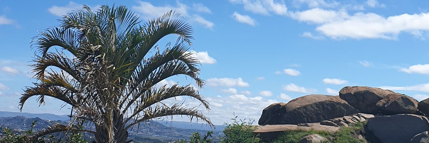 Runner’s High banner