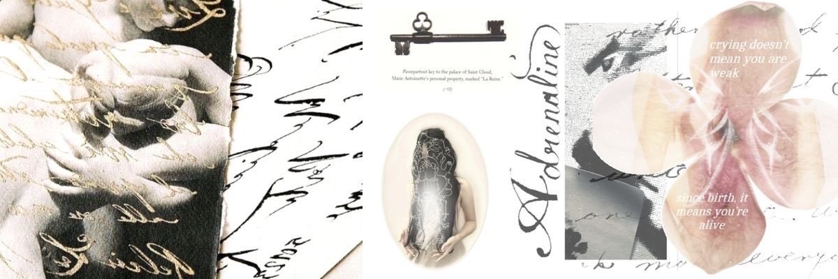 petalour's profile banner image