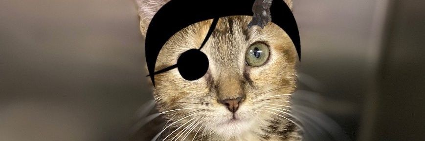 NovaThatGuy1's profile banner image
