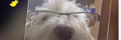 AngieGalak's profile banner image