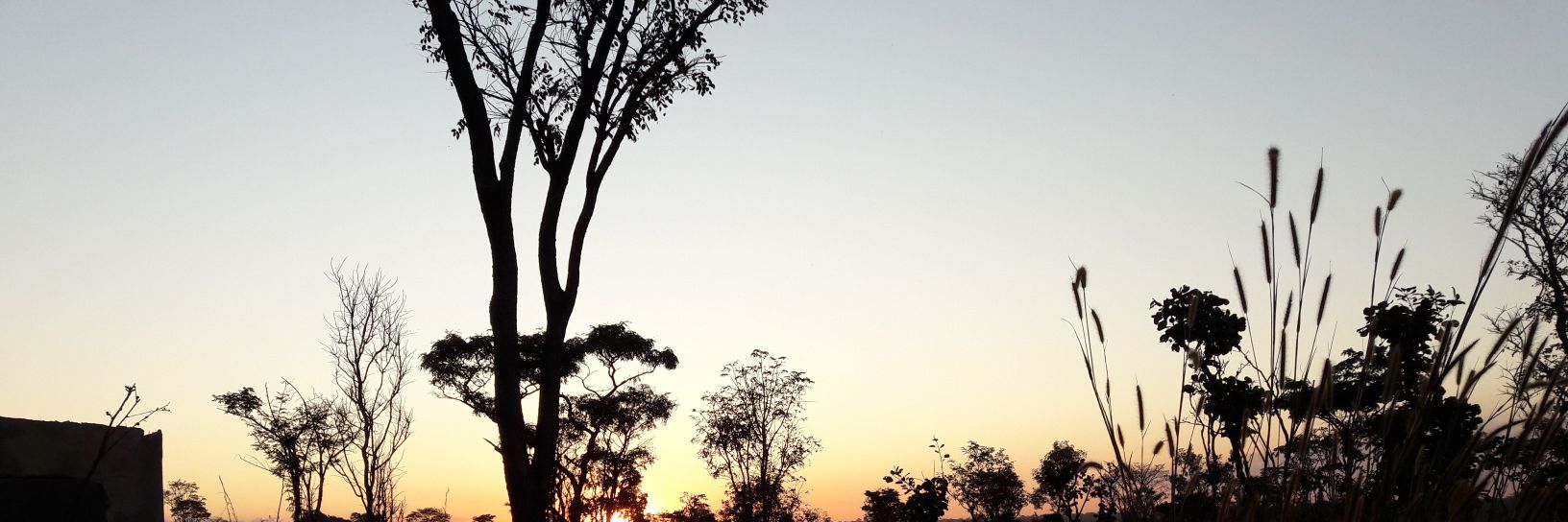 johithraja's profile banner image