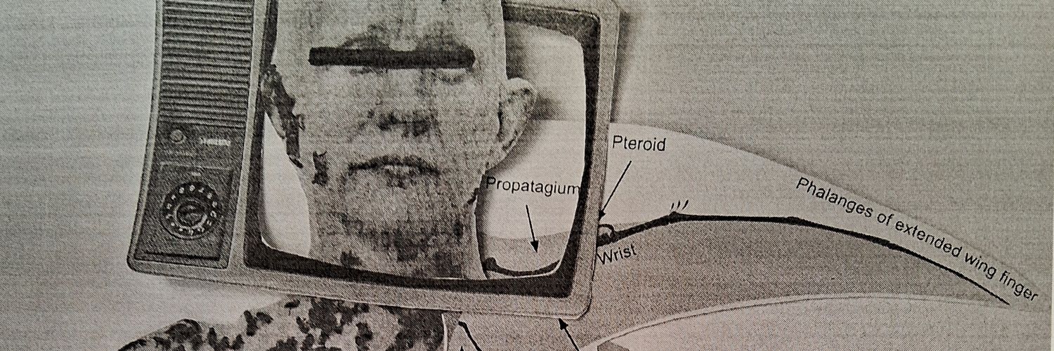 tpontoiruy's profile banner image