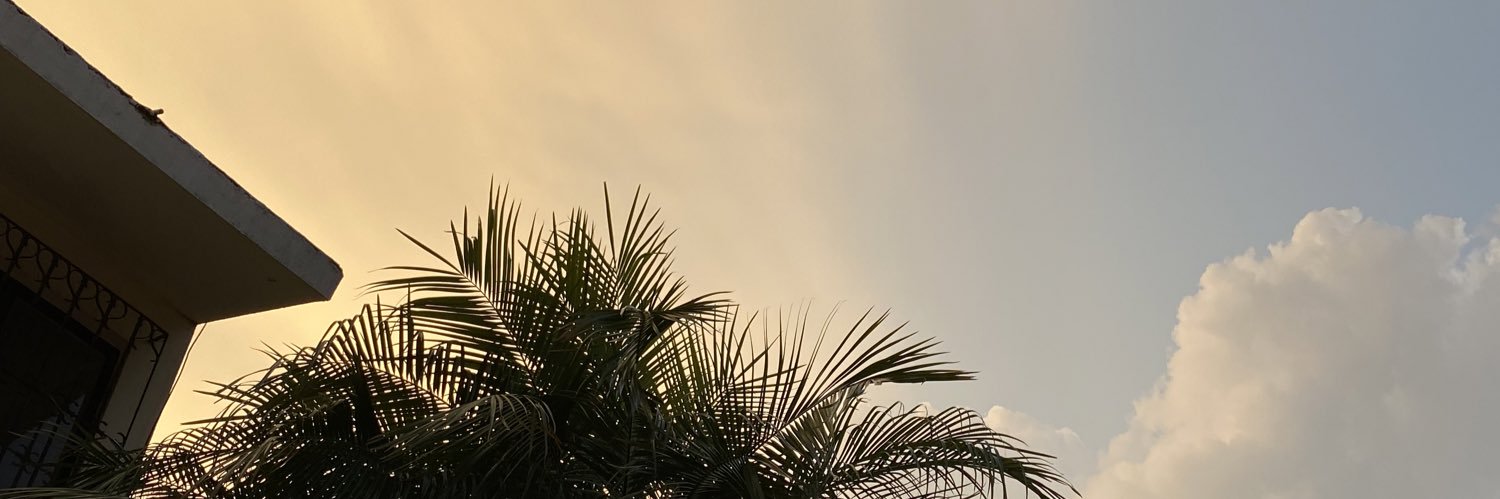 mapaulafg's profile banner image