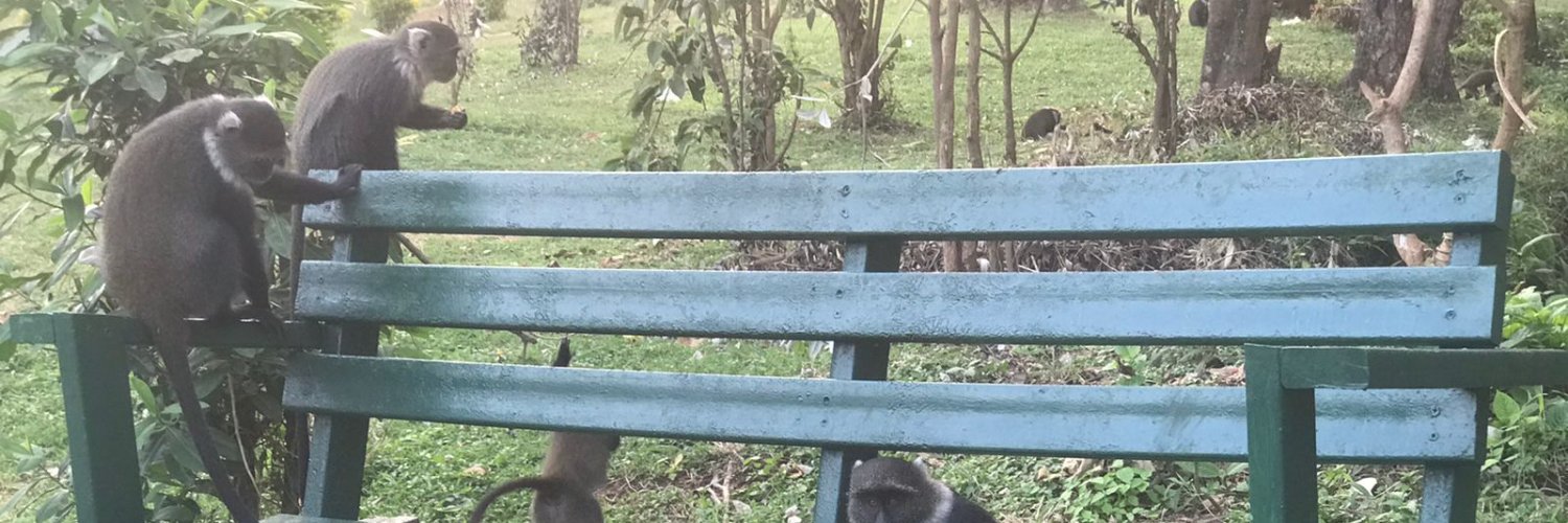 Go Travel Green Foundation banner