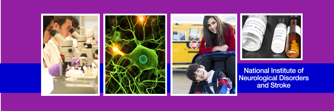 NINDS Translate banner