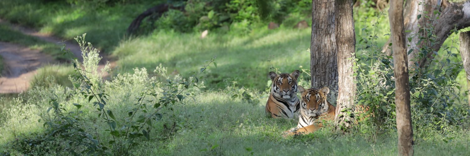 Arvind Sreenath banner