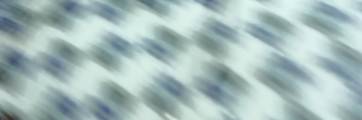 colonel sushil puri banner