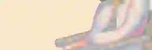 Kathrin013's profile banner image