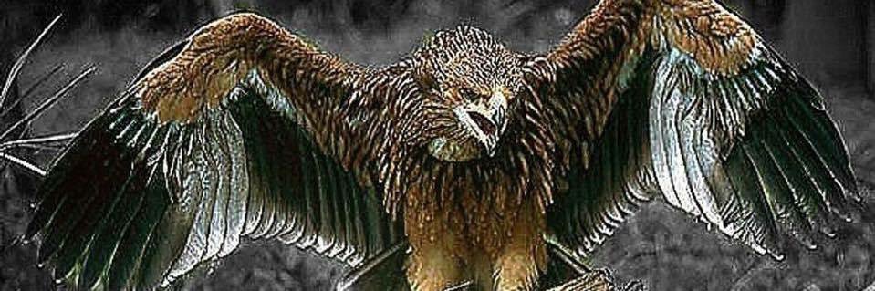 a2013a2013o's profile banner image