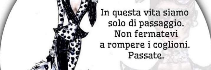 simona vitelli banner