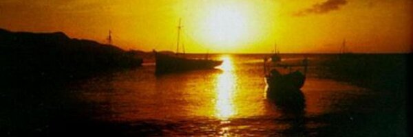 avaat Profile Banner