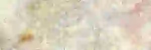 Koalikoala's profile banner image