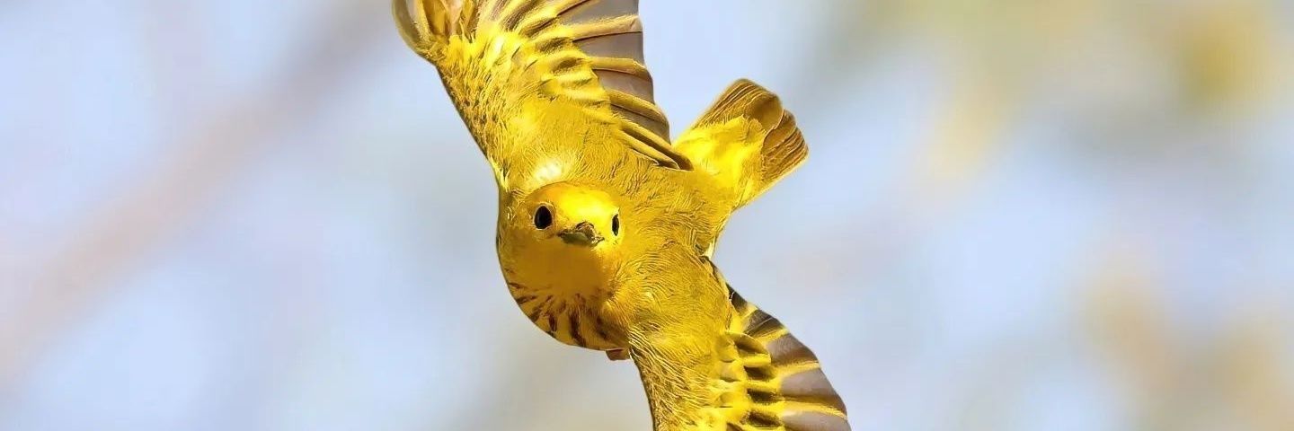 cryptonaij's profile banner image
