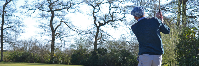 Ledene Golf banner