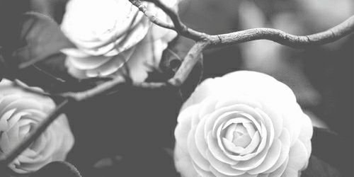 andrilucci's profile banner image