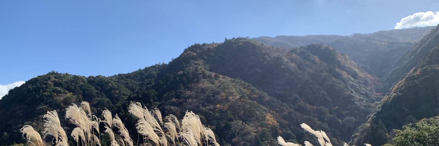 paneloren's profile banner image