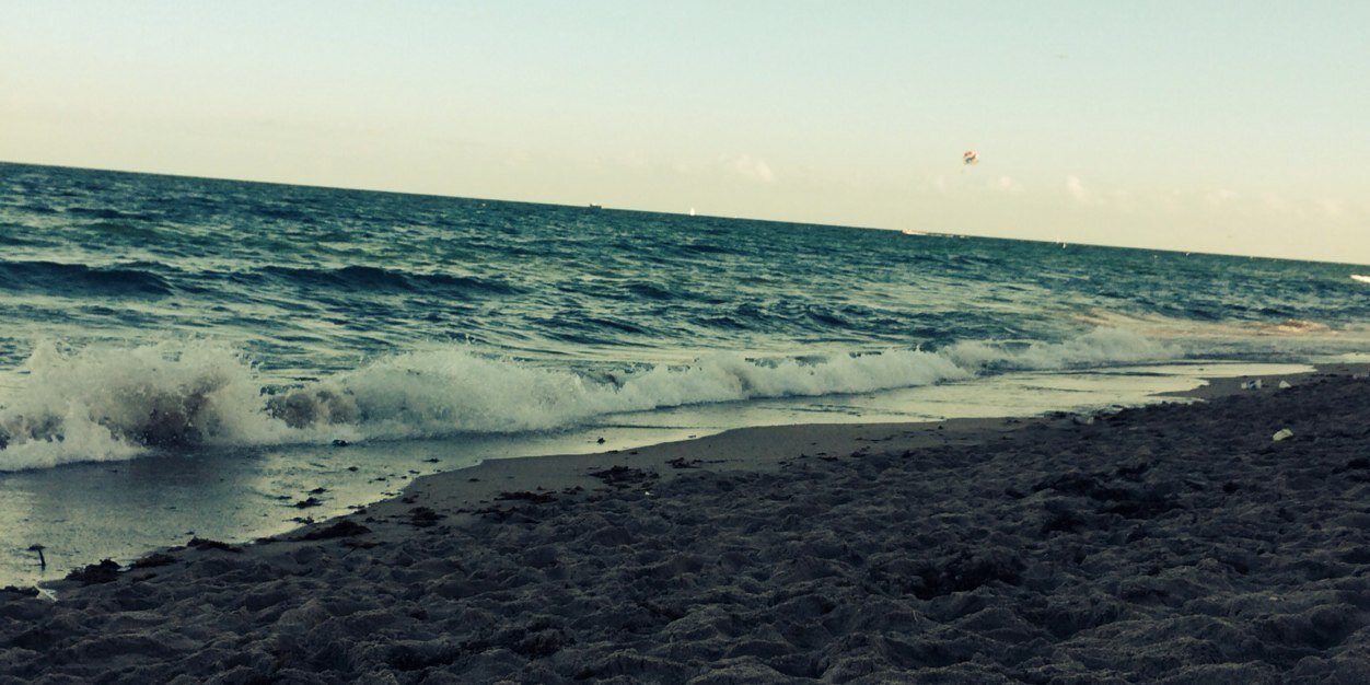 Sandral1ta's profile banner image