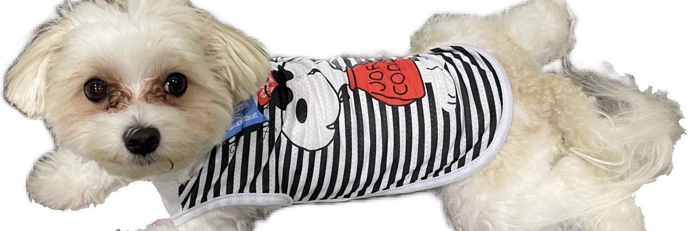 マリー 店長 banner